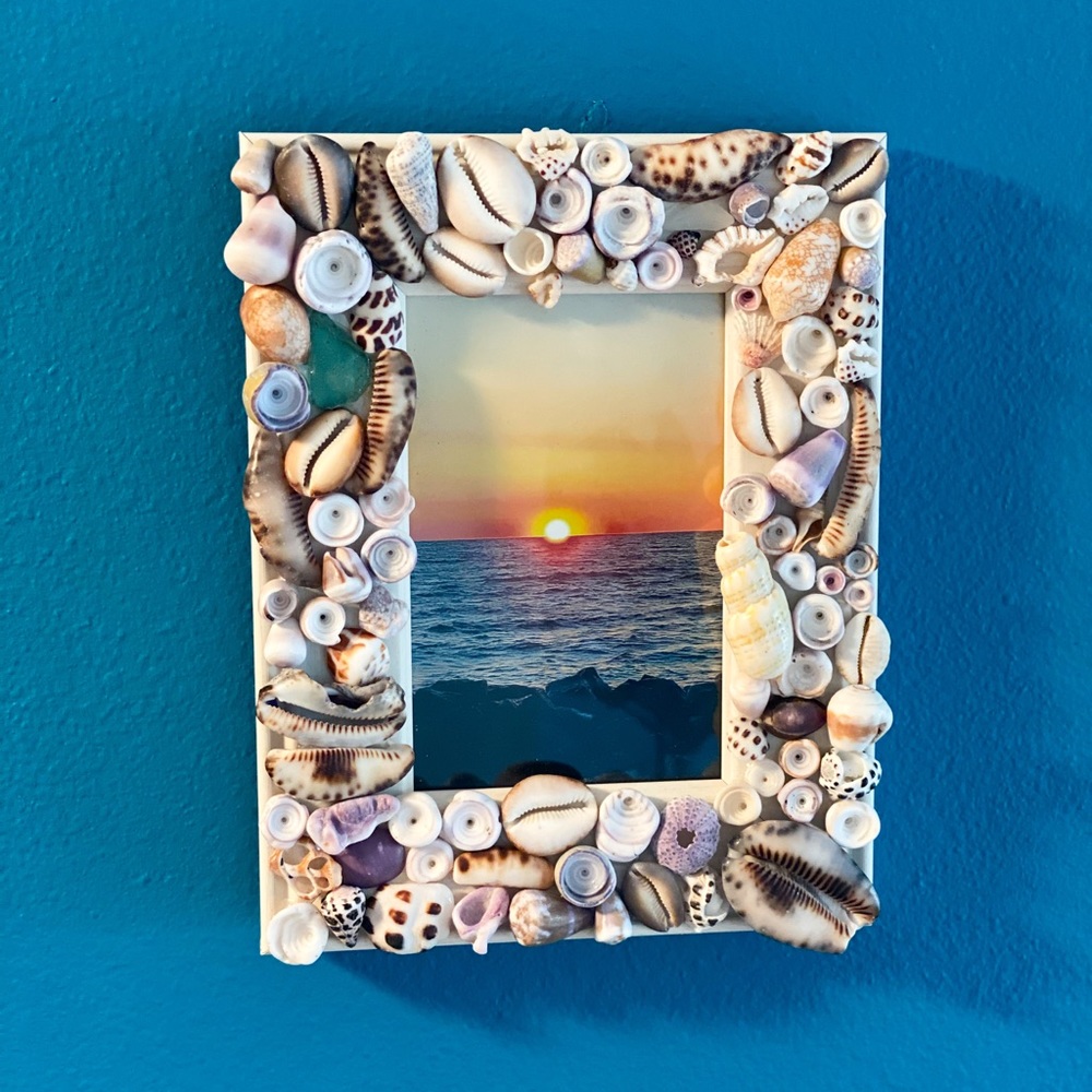 REAL Hawaiian Seashells 4x6Frame🐚 REPURPOSE ART♻️
